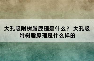 大孔吸附树脂原理是什么？ 大孔吸附树脂原理是什么样的